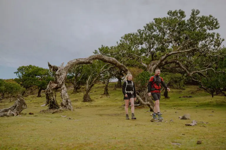 a couple of hikers walking in a forest on the trek in Madeira A couple is hiking in Madeira