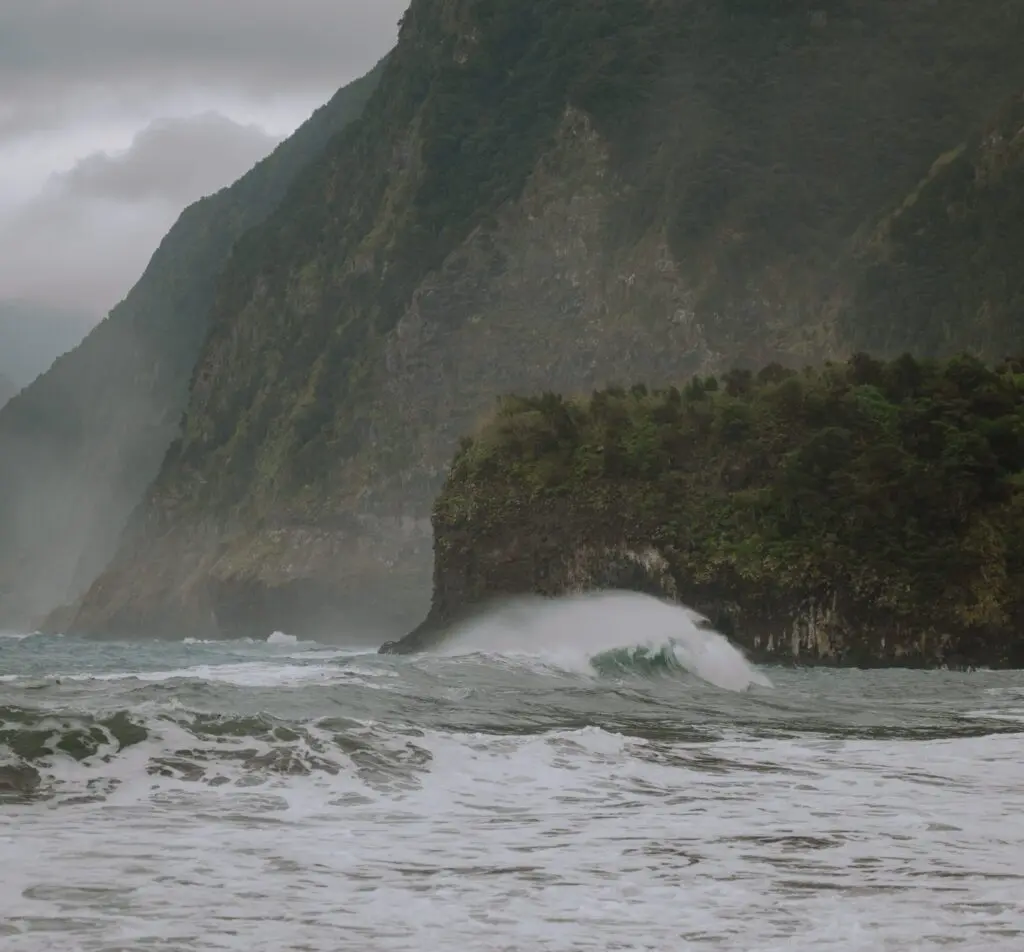 Madeira Island - Madeira Island - Madeira Island - Madeira Island