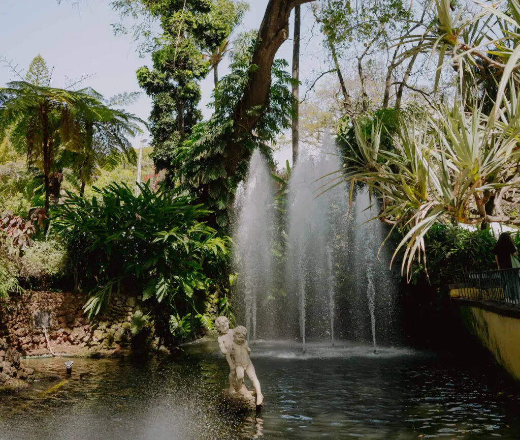 Botanical Garden Funchal - Botanical Garden Funchal - Botanical Garden Funchal - City Park Funchal