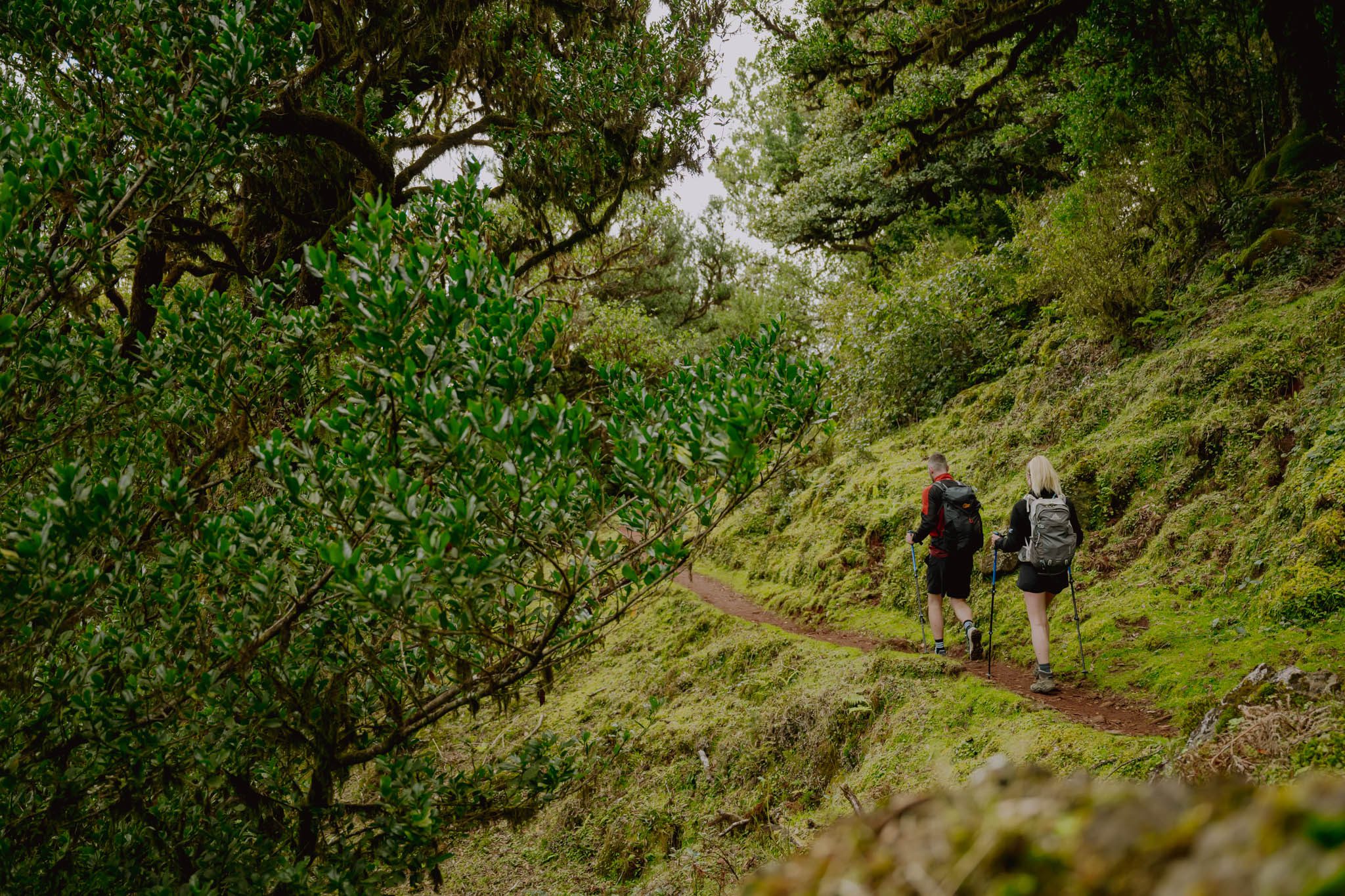 randonner à Madère - Wandern in Madeira - hiken op Madeira - hike madeira