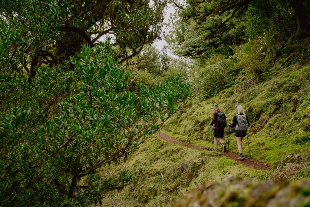 Wandern Madeira