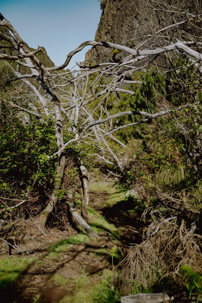 Wandern Madeira