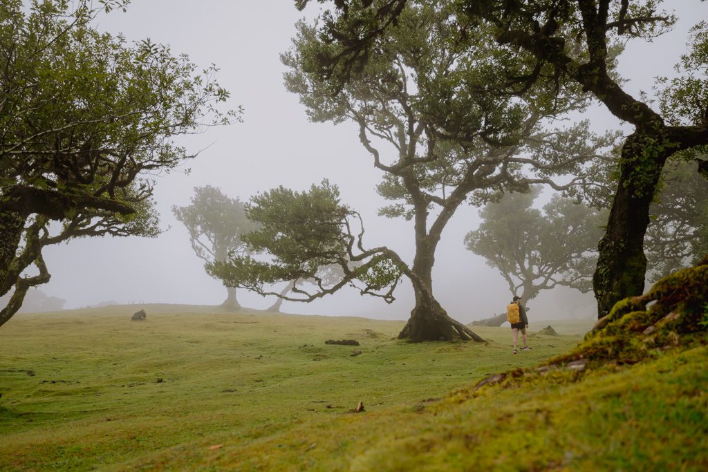 Wandern Madeira