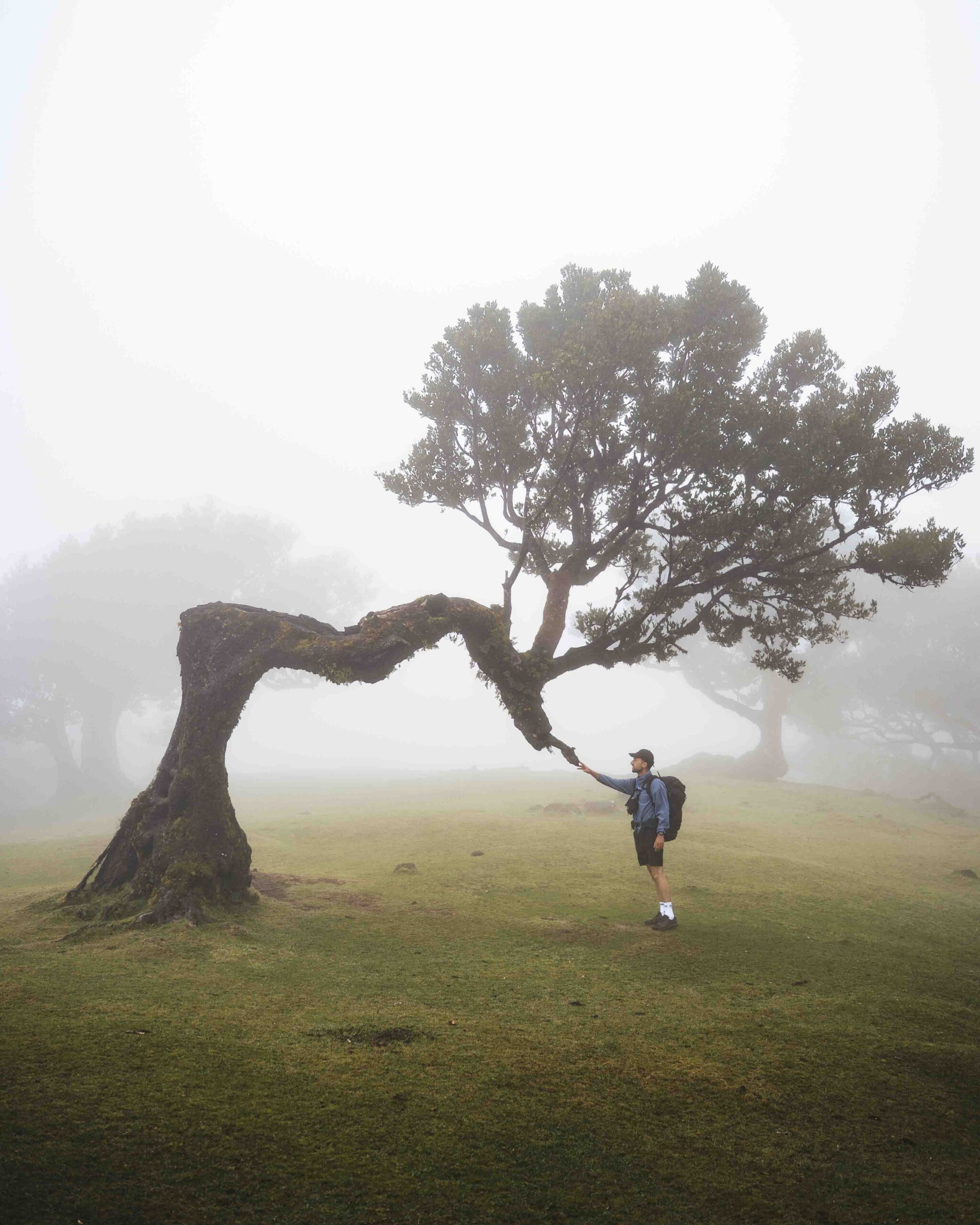 Wandelroutes op Madeira